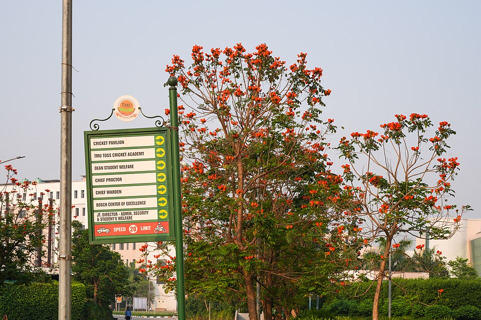 Moradabad — service booking platforms for local businesses