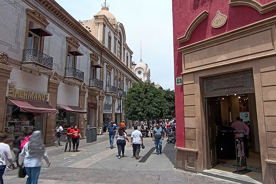 León — local market for subscription and membership platforms