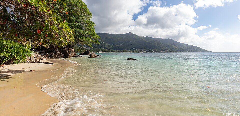 Beau Vallon — local market for manufacturer and distributor portals