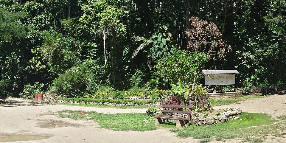 Honiara — subscription and membership platforms for local businesses