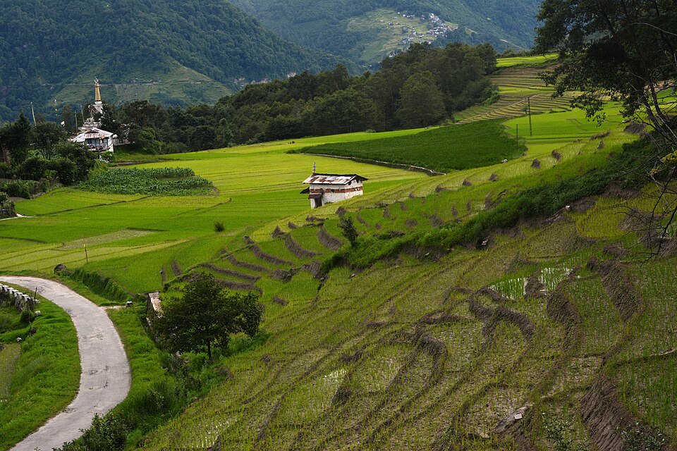 Ziro — local market for manufacturer and distributor portals