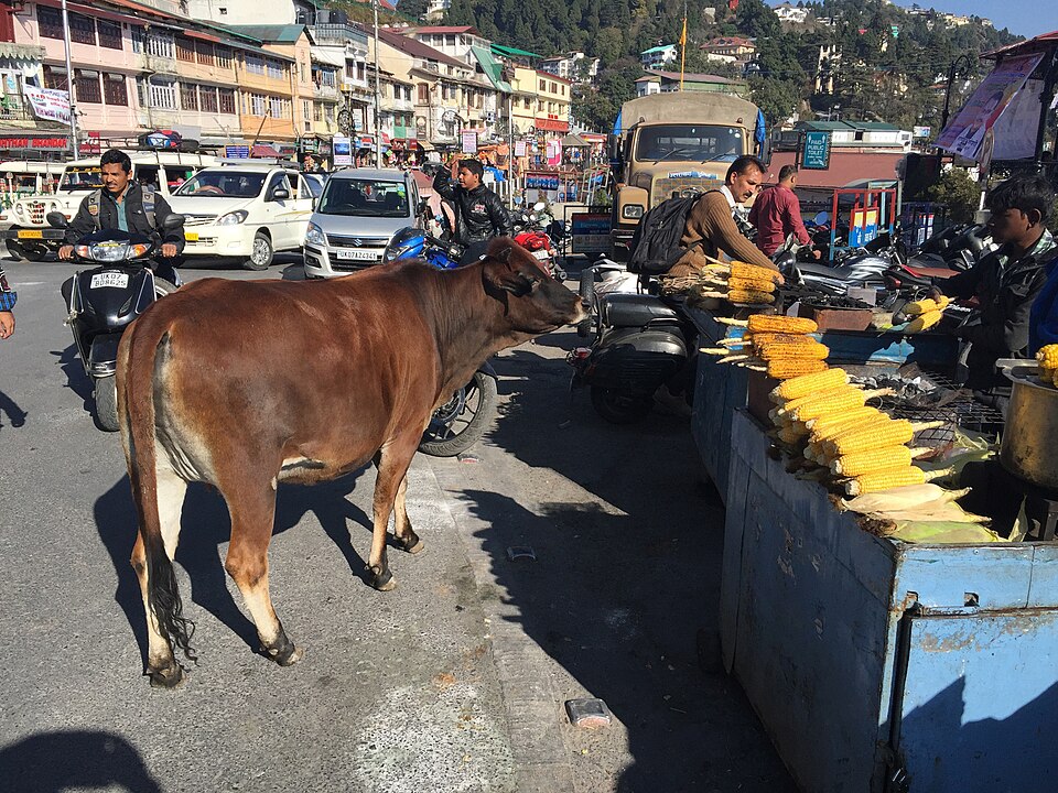 Mussoorie — local market for custom e-commerce platforms