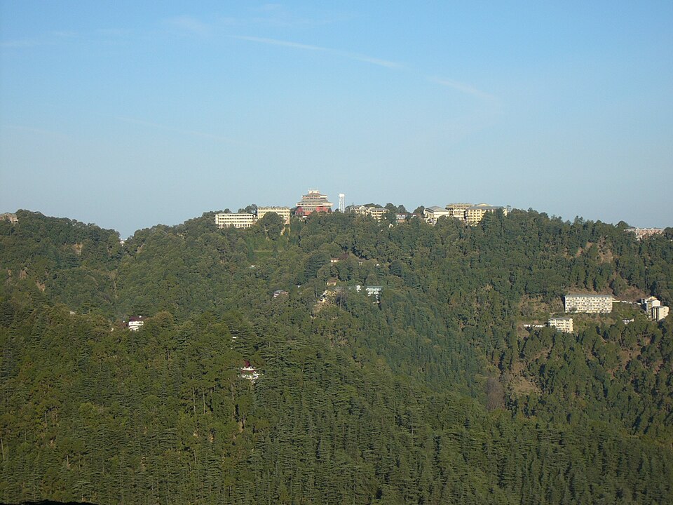 Shimla — service booking platforms for local businesses