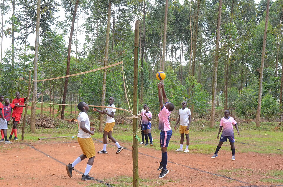 Wakiso — international and multi-region stores for local businesses