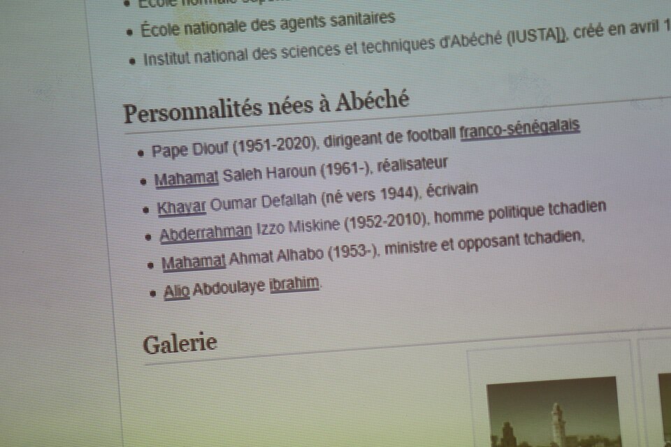 Abéché — local market for custom e-commerce platforms