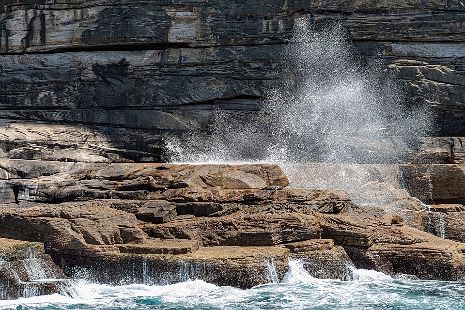 Sydney — local market for manufacturer and distributor portals