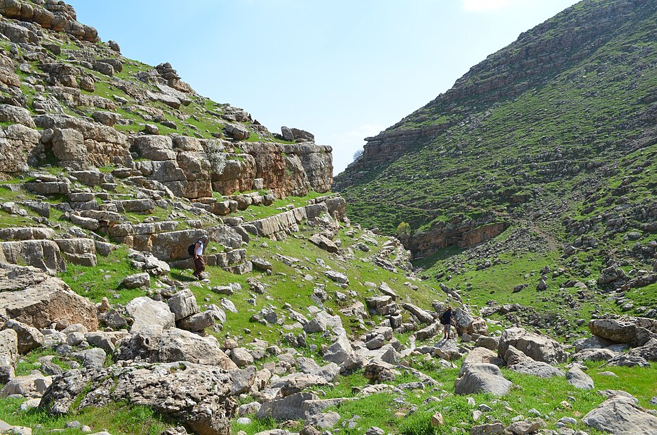 Iraq — international and multi-region stores for local businesses