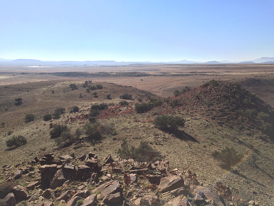 Bloemfontein — multi-vendor marketplaces for local businesses