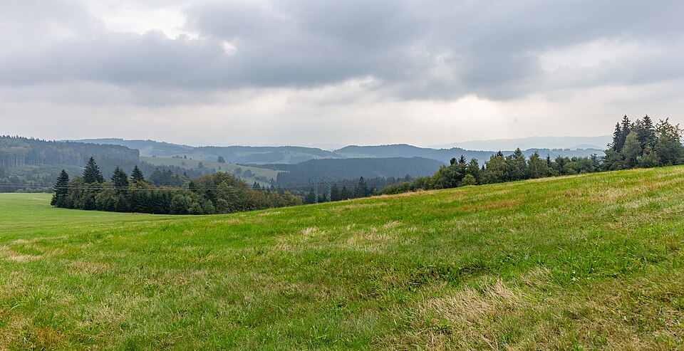 Czech Republic — local market for service booking platforms