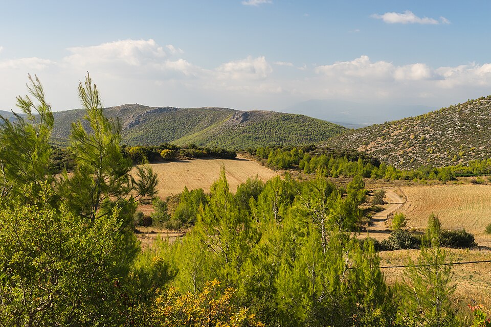 Greece — local market for online stores