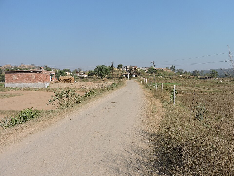 Mohali — local market for B2B and wholesale portals
