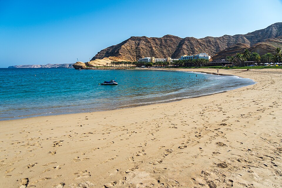 Muscat — B2B and wholesale portals for local businesses