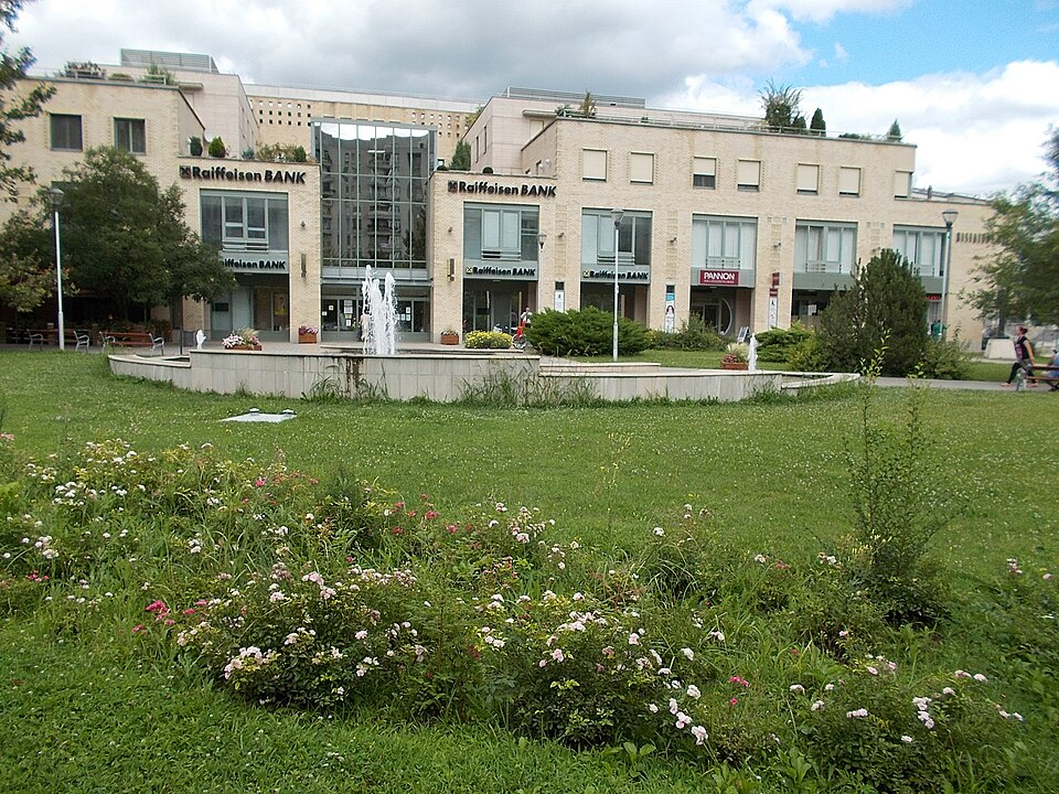Kecskemét — local market for custom e-commerce platforms