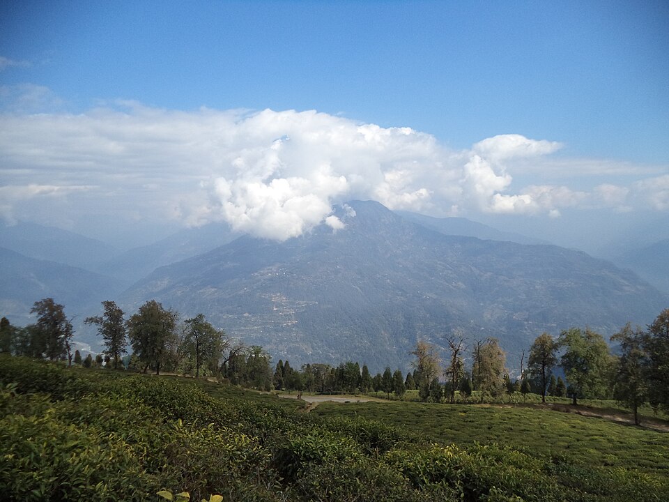 Gangtok — manufacturer and distributor portals for local businesses