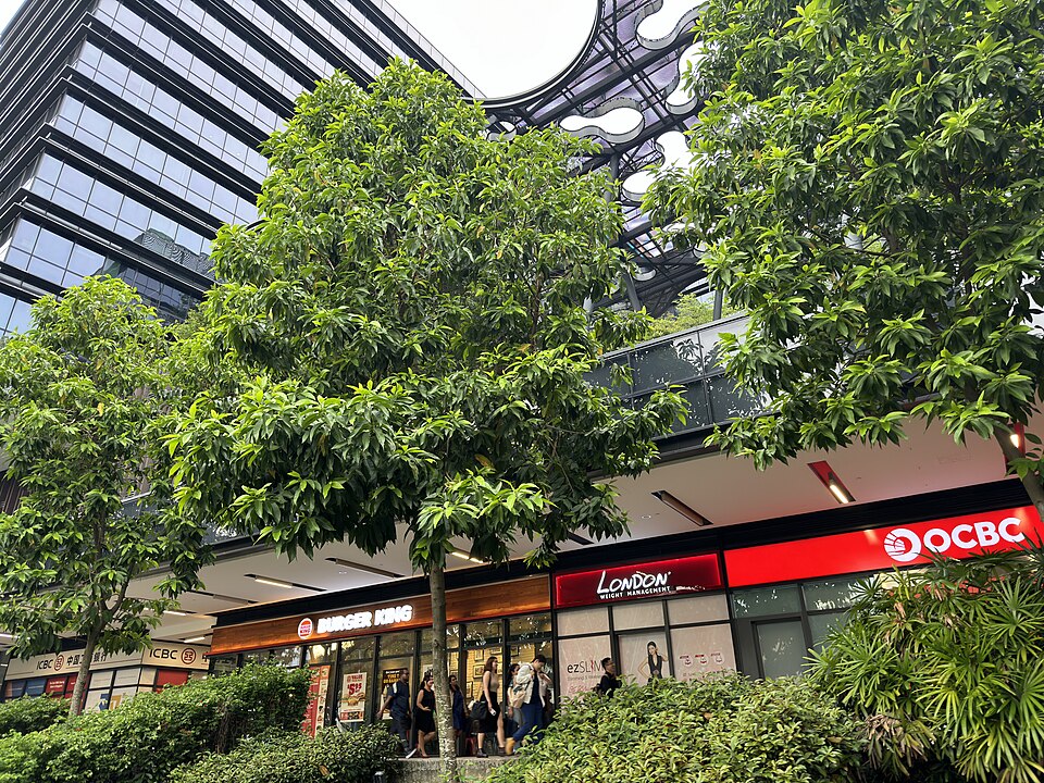 Paya Lebar — subscription and membership platforms for local businesses