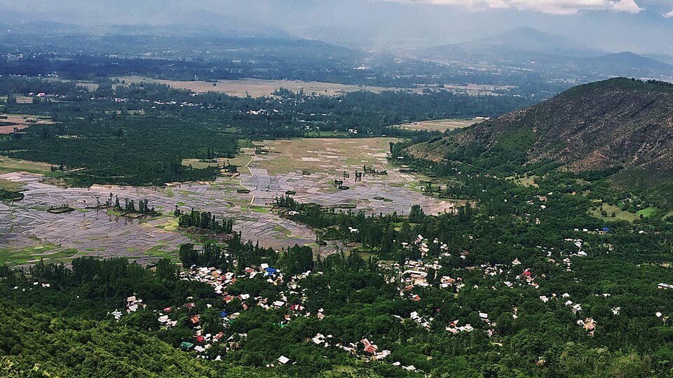 Sopore — online stores for local businesses