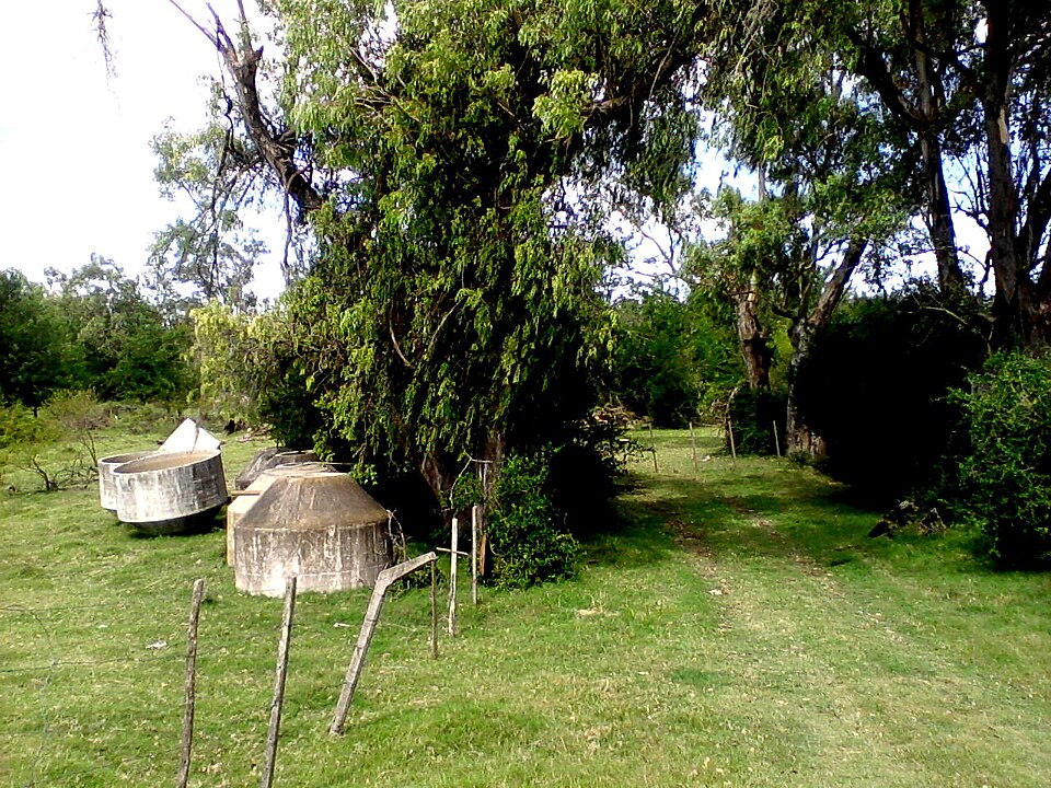 Tacuarembó — international and multi-region stores for local businesses