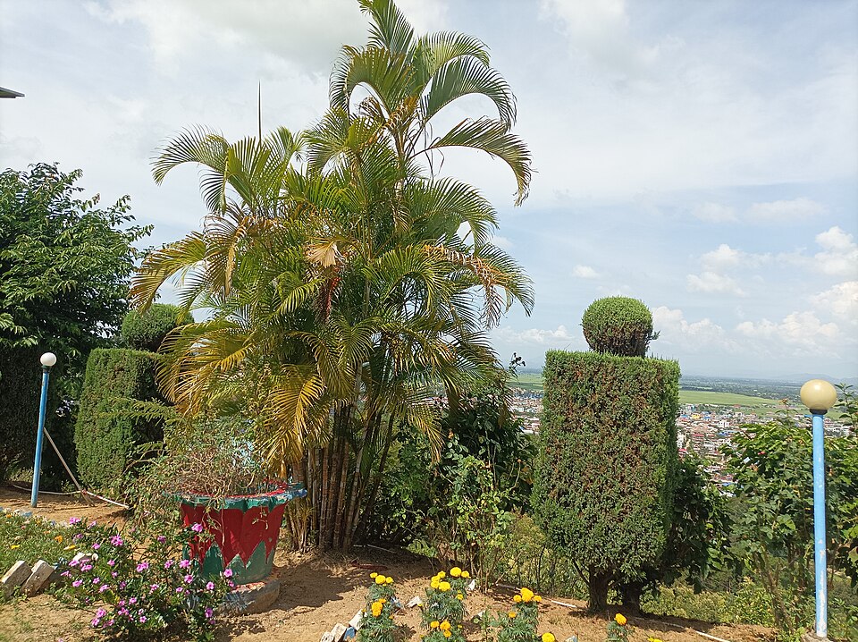 Kakching — local market for manufacturer and distributor portals