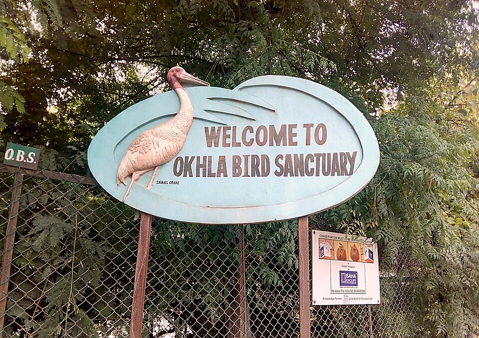 Okhla — local market for international and multi-region stores