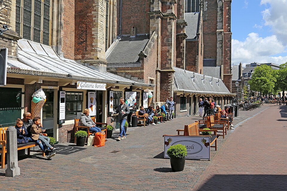 Haarlem — custom e-commerce platforms for local businesses