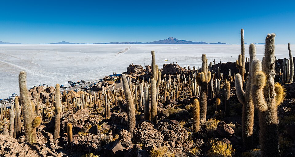 Bolivia — local market for service booking platforms