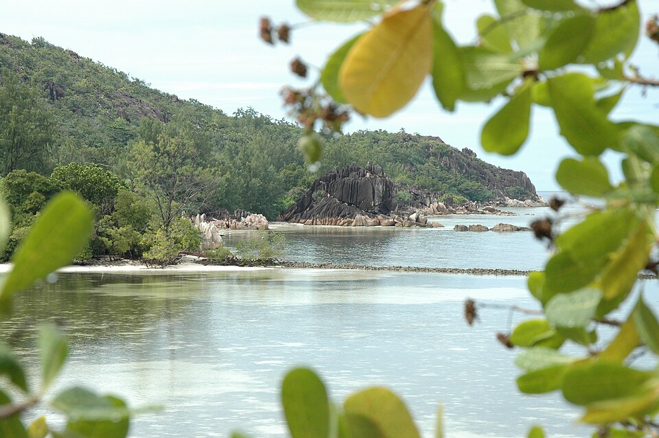 Seychelles — local market for subscription and membership platforms