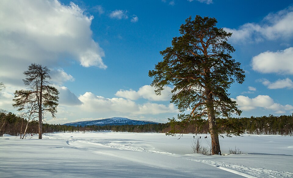 Finland — B2B and wholesale portals for local businesses