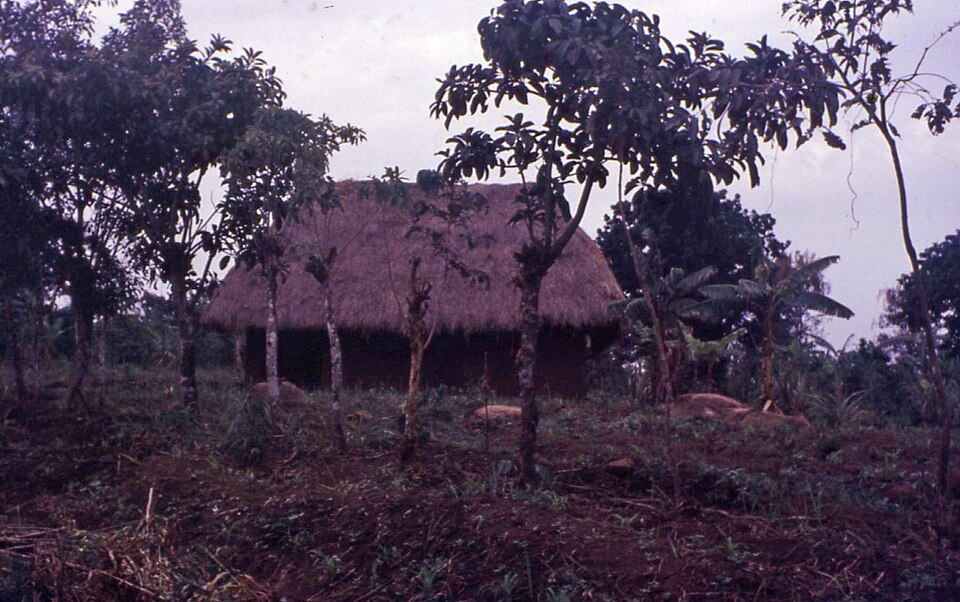 Bafoussam — local market for B2B and wholesale portals