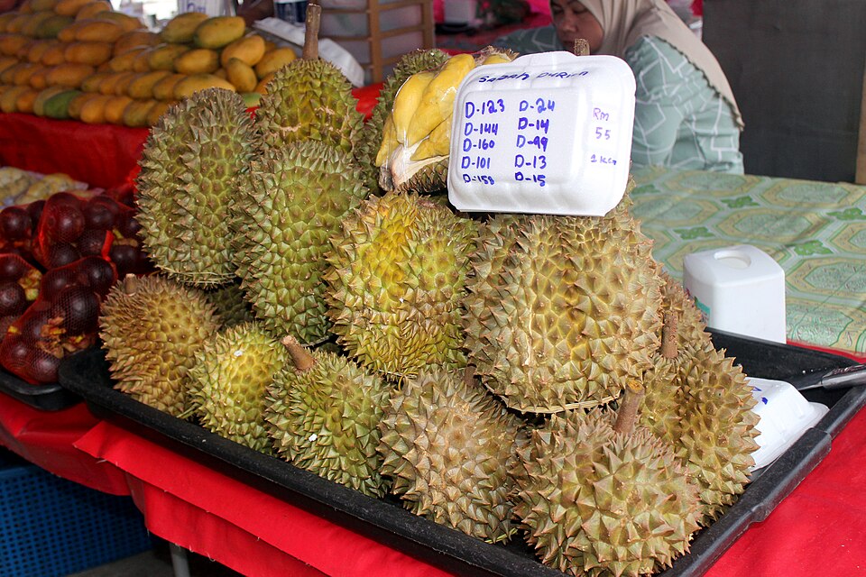 Kota Kinabalu — local market for manufacturer and distributor portals
