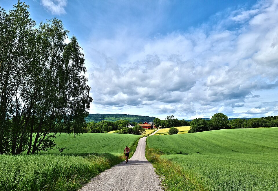 Norway — service booking platforms for local businesses