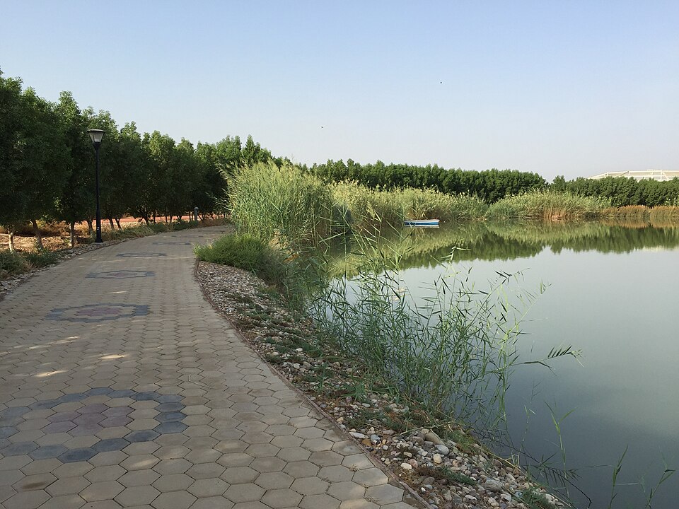 Iraq — local market for service booking platforms