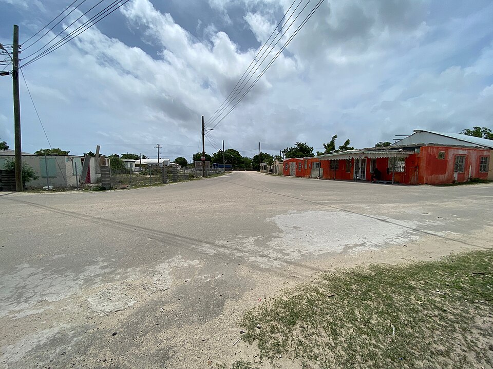 Codrington — online stores for local businesses