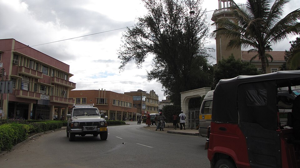 Dodoma — local market for manufacturer and distributor portals