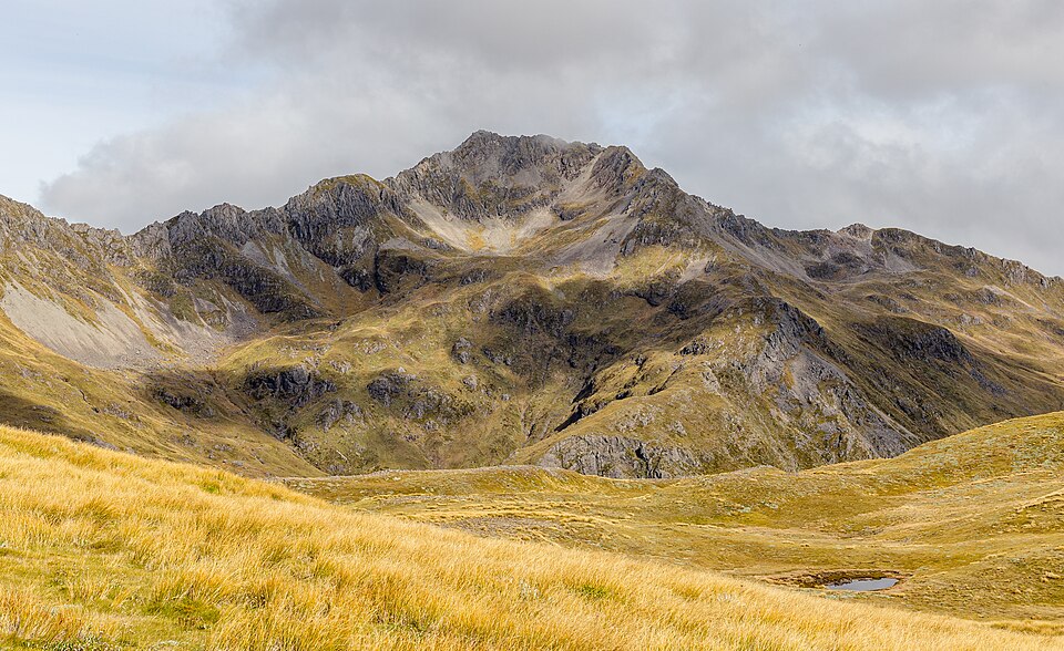 New Zealand — local market for manufacturer and distributor portals