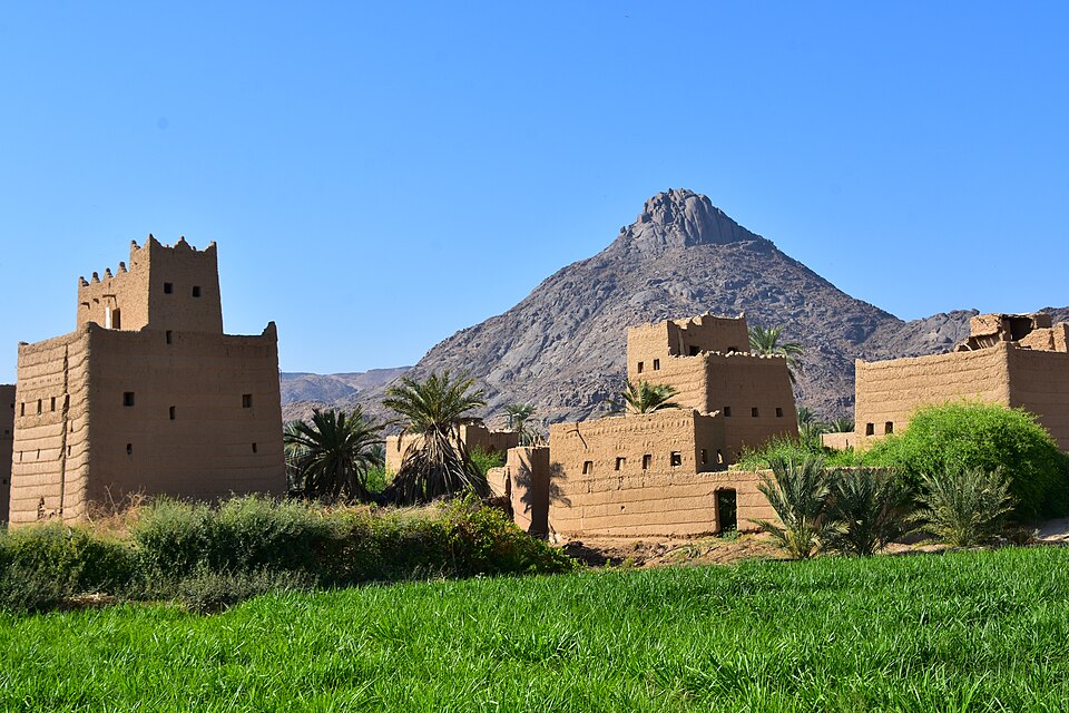 Najran — local market for mobile commerce apps