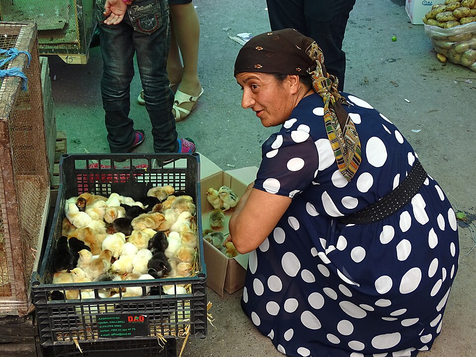 Azerbaijan — mobile commerce apps for local businesses