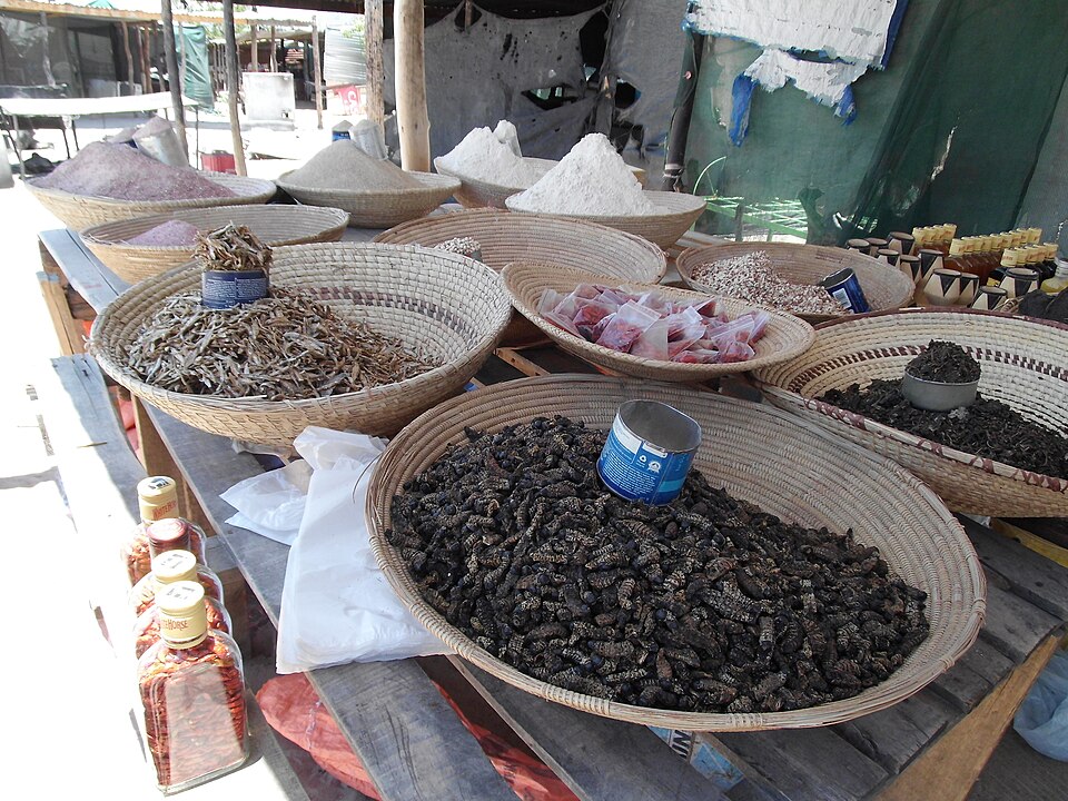 Oshakati — local market for service booking platforms