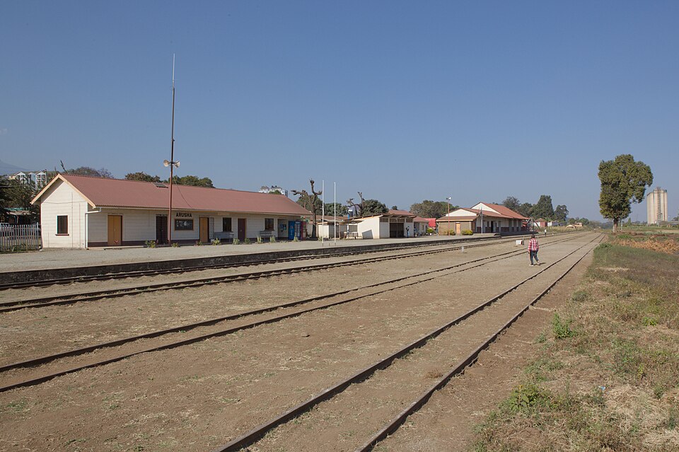 Arusha — local market for custom e-commerce platforms