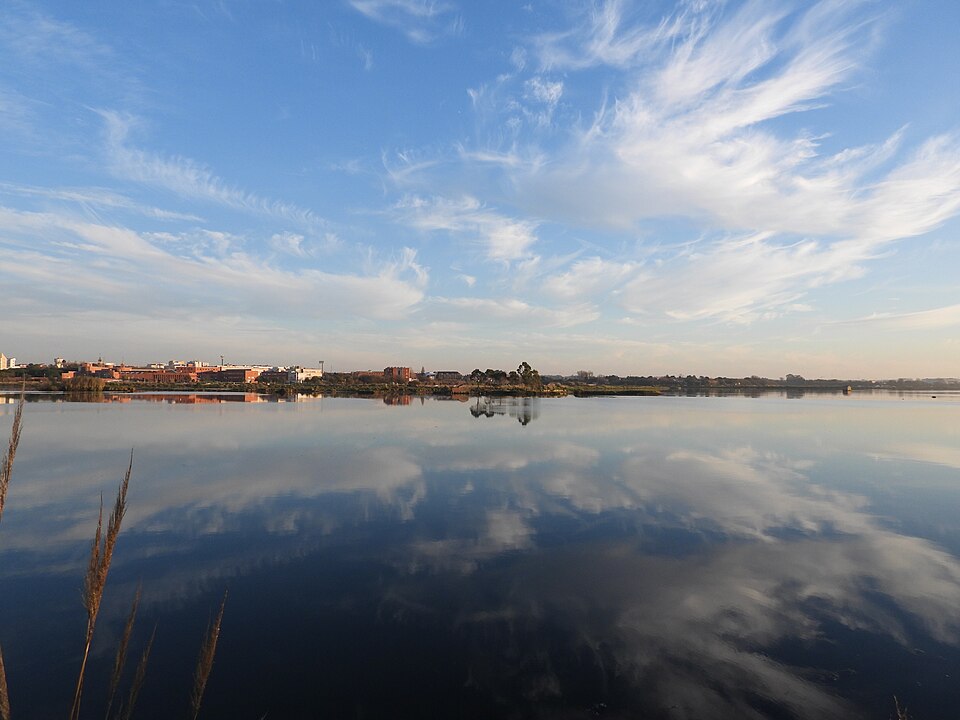 Aveiro — multi-vendor marketplaces for local businesses