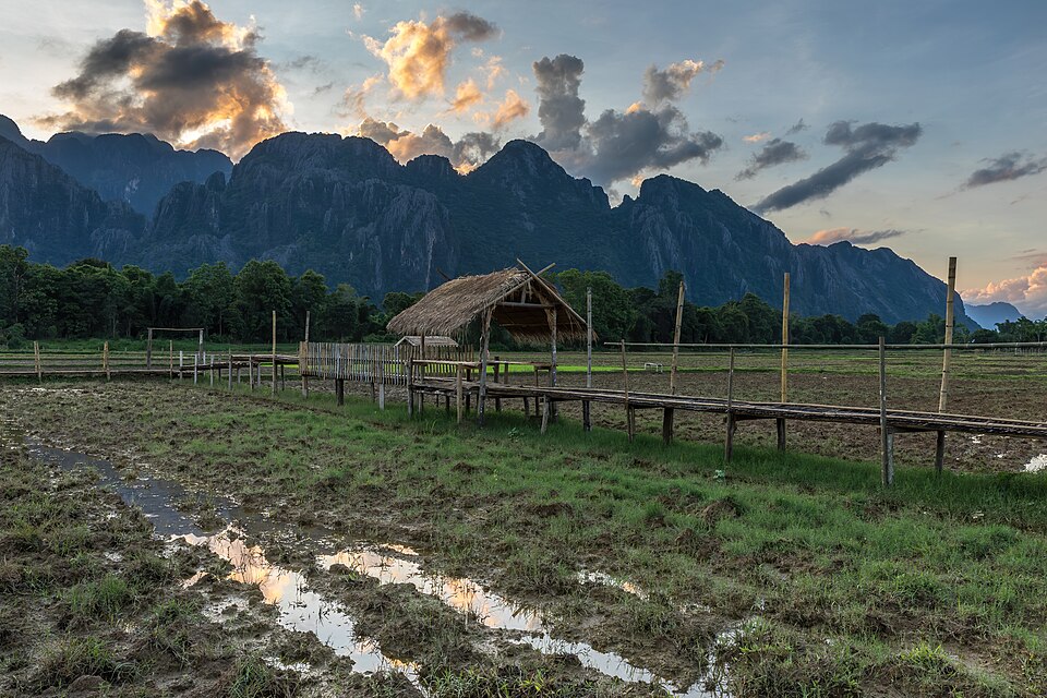 Vang Vieng — custom e-commerce platforms for local businesses