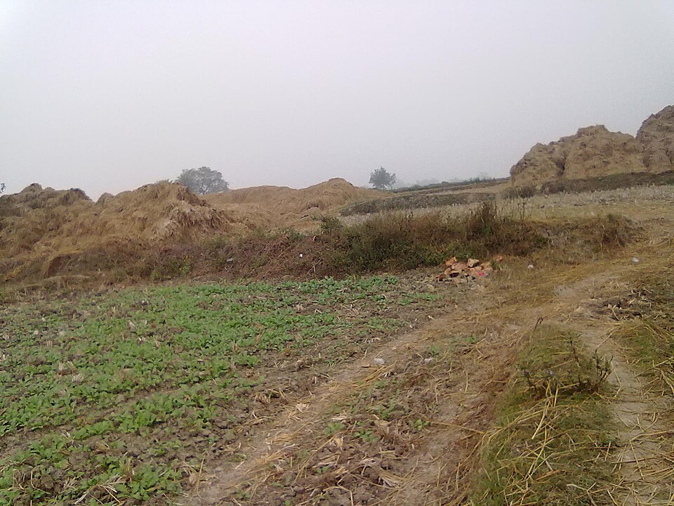 Aurangabad (Bihar) — local market for B2B and wholesale portals