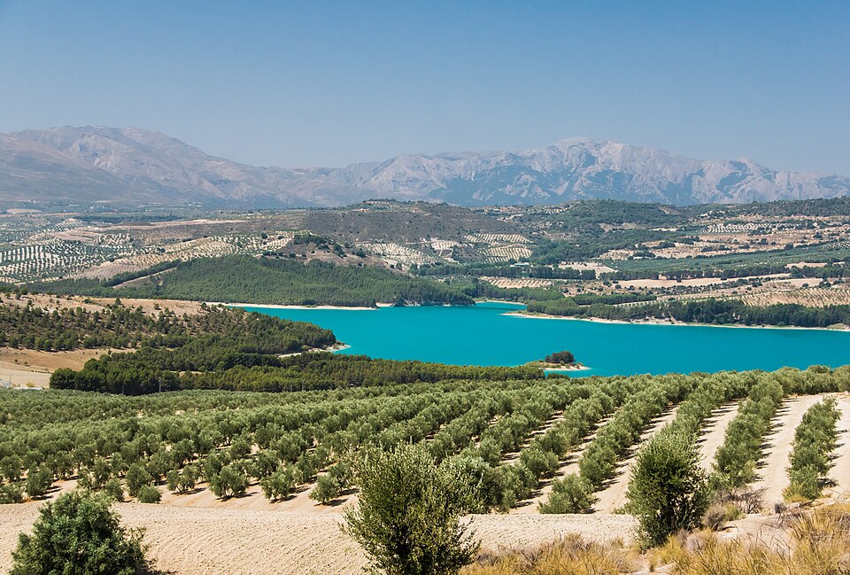 Spain — online stores for local businesses