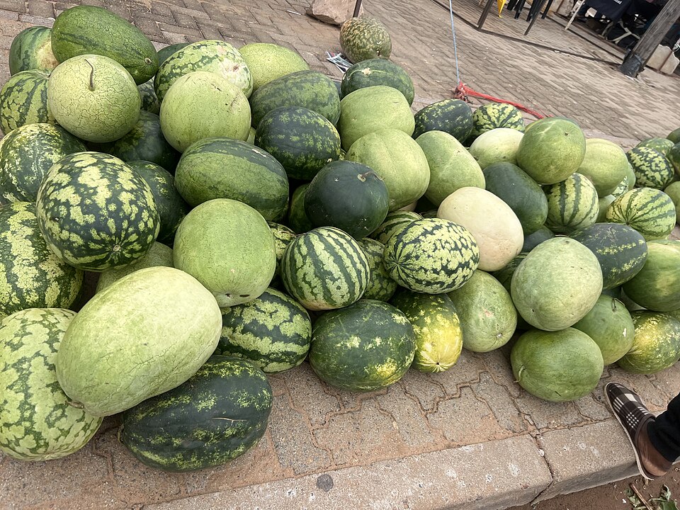 Palapye — local market for mobile commerce apps