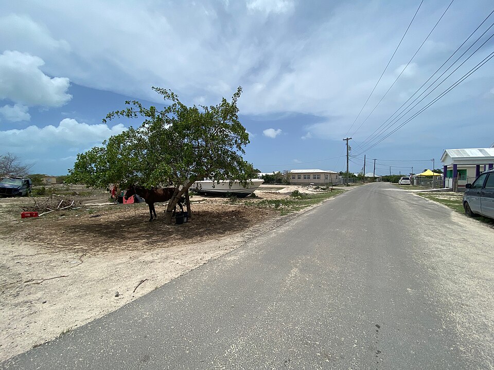 Codrington — manufacturer and distributor portals for local businesses