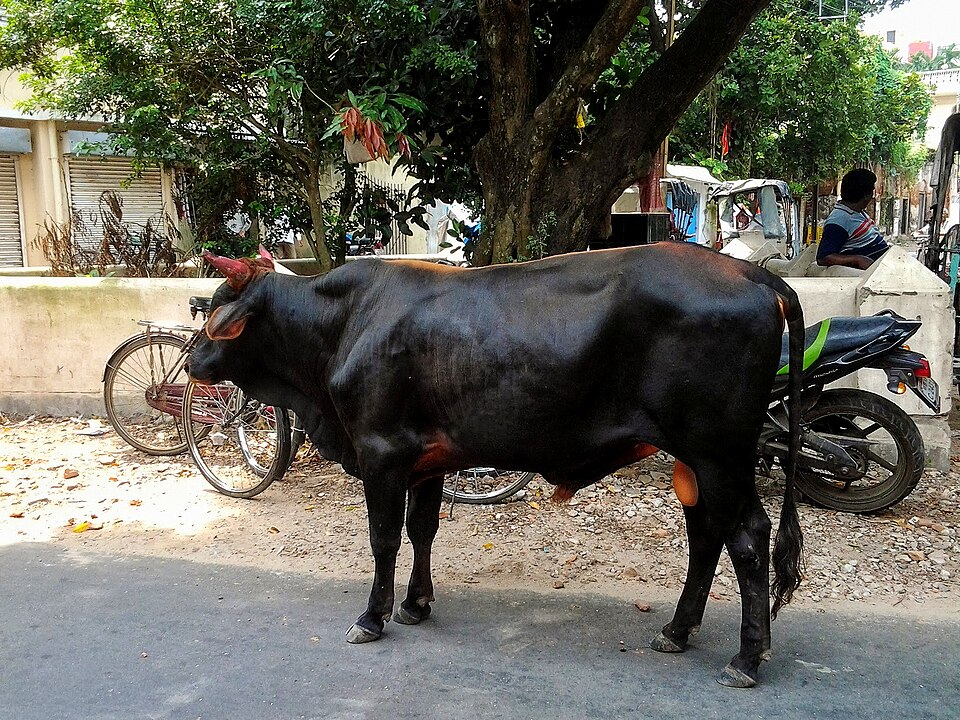 Chinsurah (Hooghly) — local market for service booking platforms