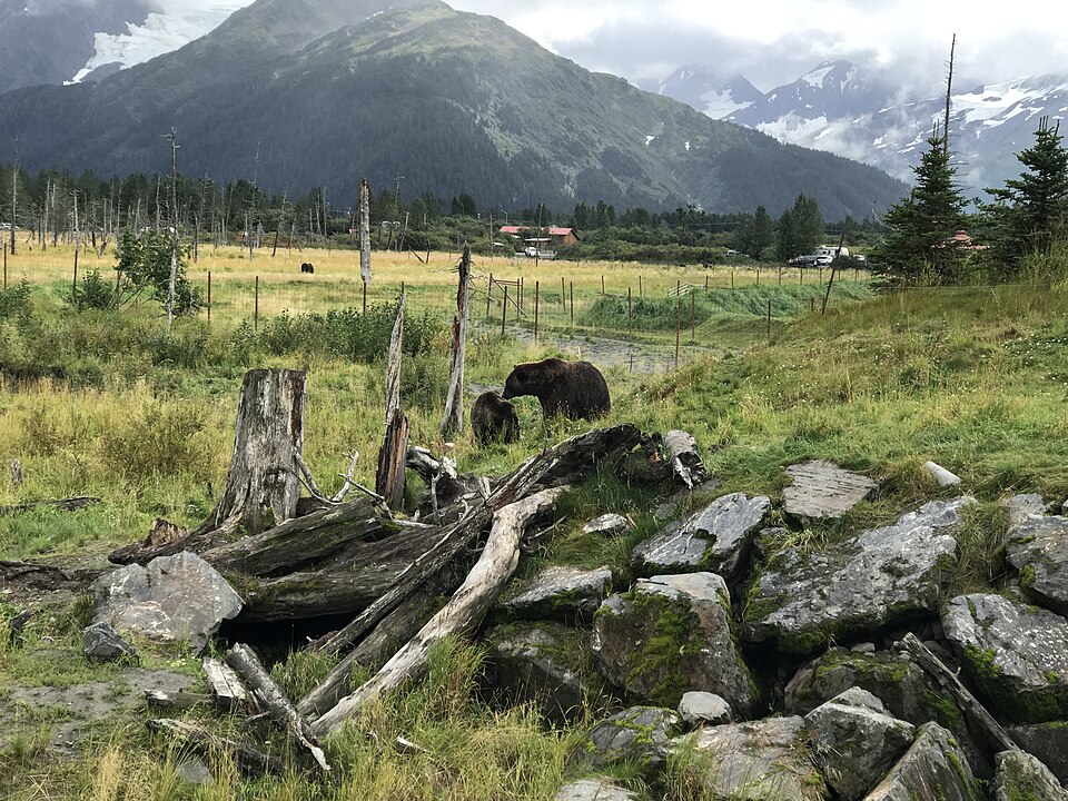 Anchorage — local market for service booking platforms