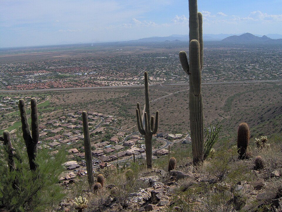Scottsdale — local market for multi-vendor marketplaces