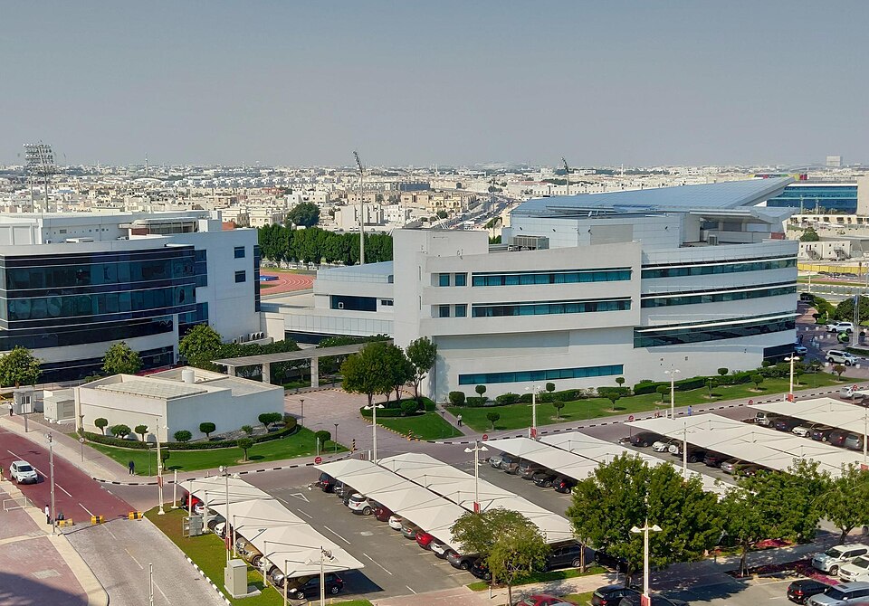 Al Rayyan — local market for online stores
