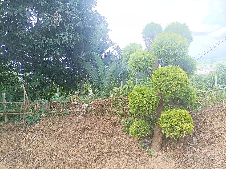Kakching — local market for online stores