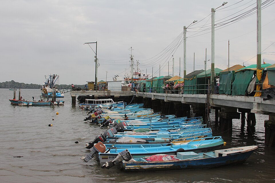 Machala — B2B and wholesale portals for local businesses